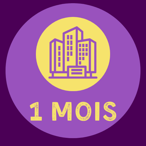 Abonnement professionnel mensuel